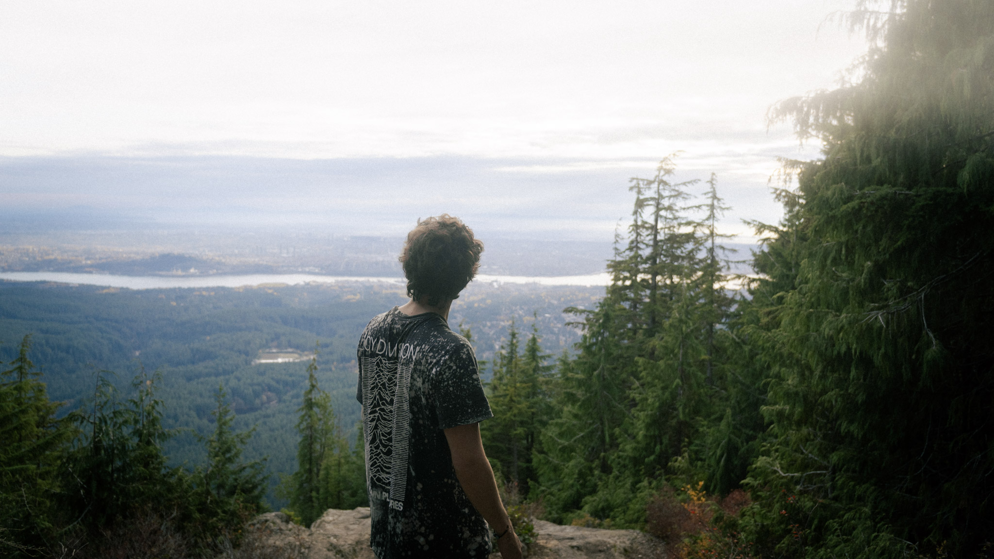 The Art of Color Grading: How We Shape Emotion Through Color